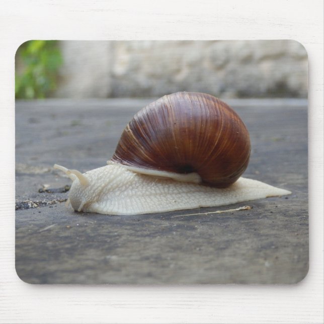 Roman Snail Mouse Mat (Front)