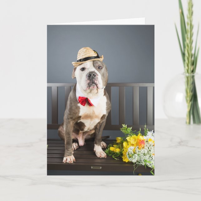 Romance card (Front)