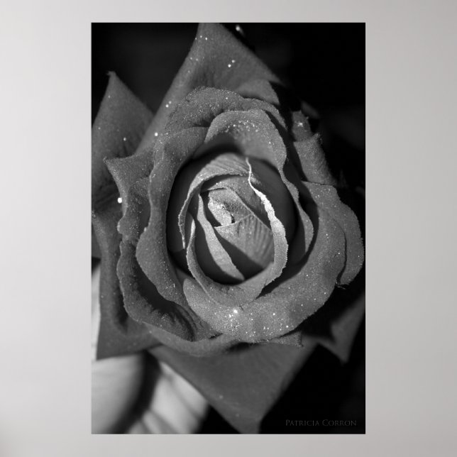 Romance Poster (Front)