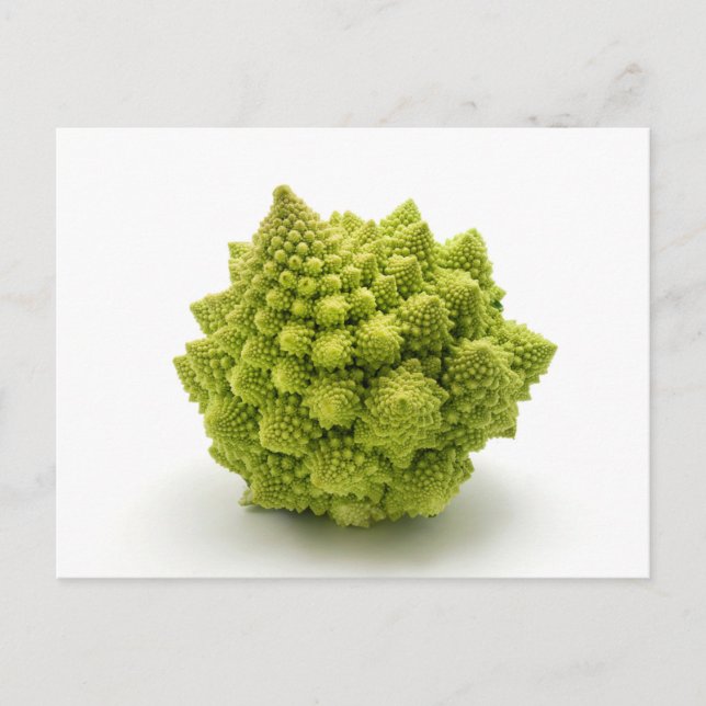 Romanesco broccoli postcard (Front)