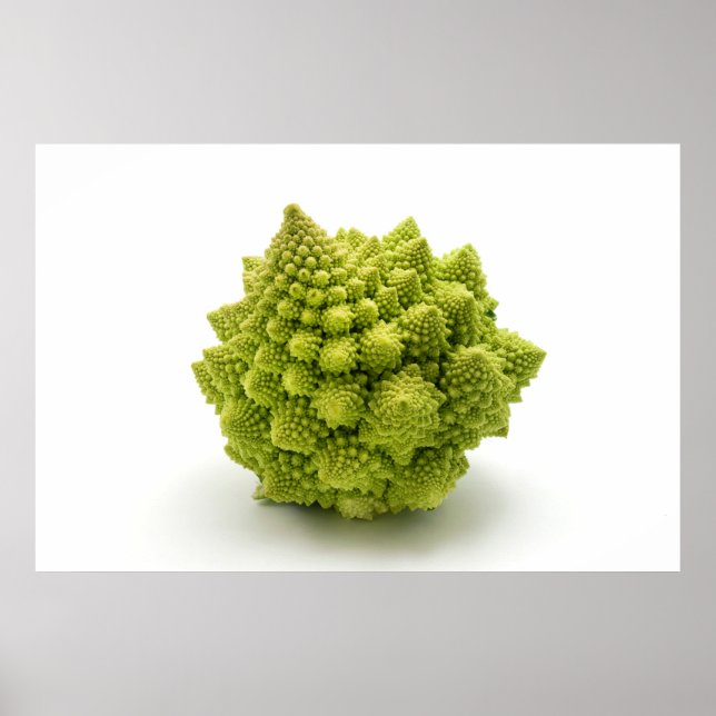 Romanesco broccoli poster (Front)