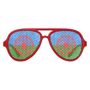 Romani flag aviator sunglasses