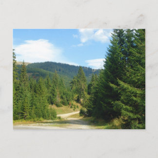 Romania, Moldova, among the pine forests Postcard