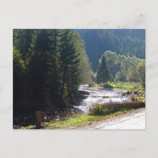 Romania, Moldova, River in the mountains Postcard