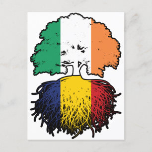 Romania Romanian Irish Ireland Tree Roots Flag Postcard