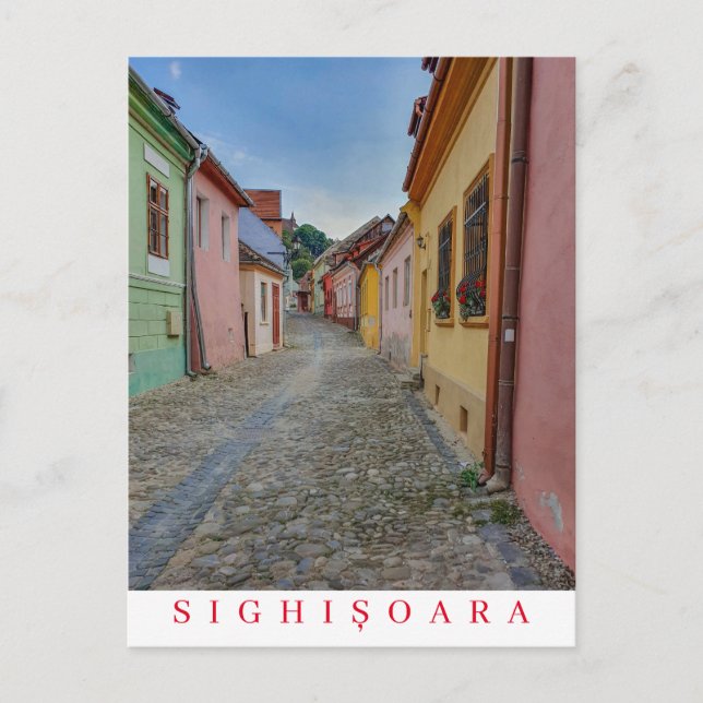 Romania Sighisoara Old Town street view postcard (Front)