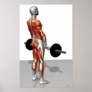 Romanian Deadlift Poster