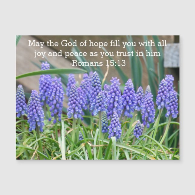 Romans 15:13 Carte magnétique Hyacinth (Devant)