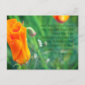 Romans 15:13 Soft Poppy Postcard