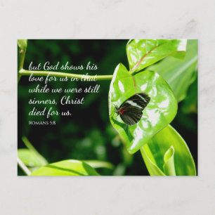 Romans 5:8 Butterfly Leaf Postcard