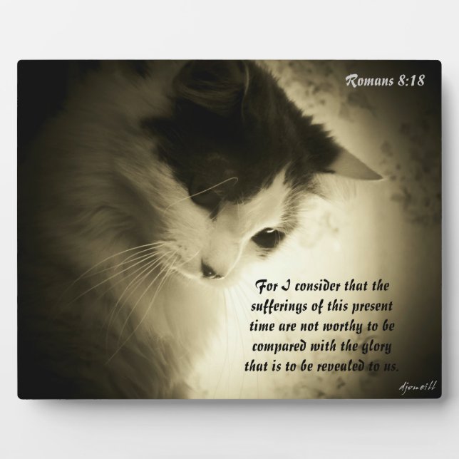 Romans 8:18 plaque (Front)