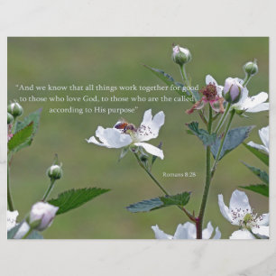 Romans 8:28
