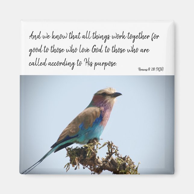 Romans 8:28 (KJV) Magnet (Front)