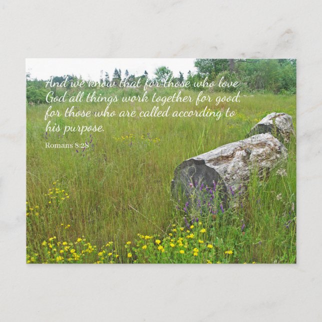 Romans 8:28 Tranquil Scene Postcard (Front)