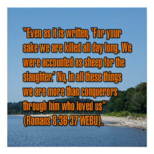 Romans 8:36-37 WEBU Poster