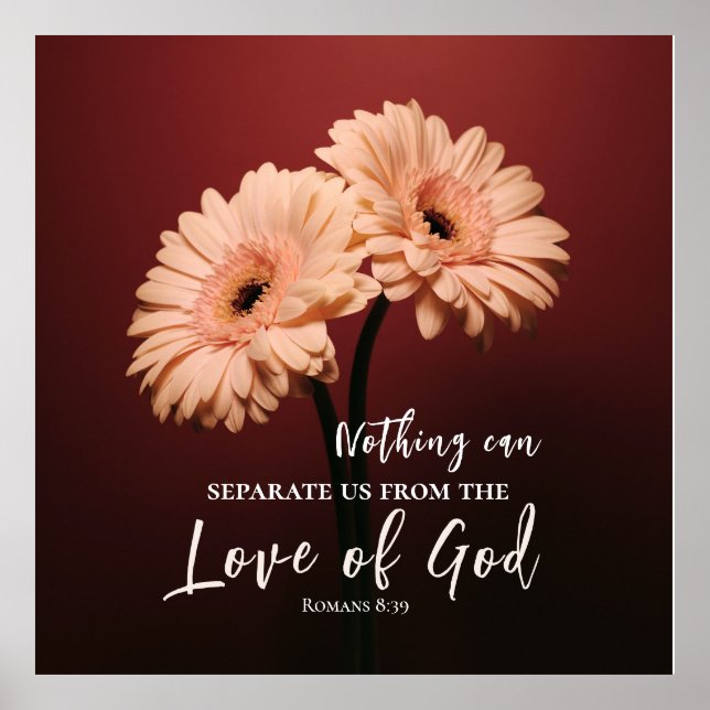 Romans 8 39 Love of God Bible Verse Pink Brown  Poster (Front)