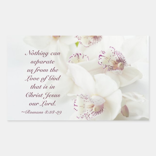 Romans 8:39 Love of God Bible White Orchids Sticker (Front)