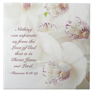 Romans 8:39 Love of God Bible White Orchids Tile