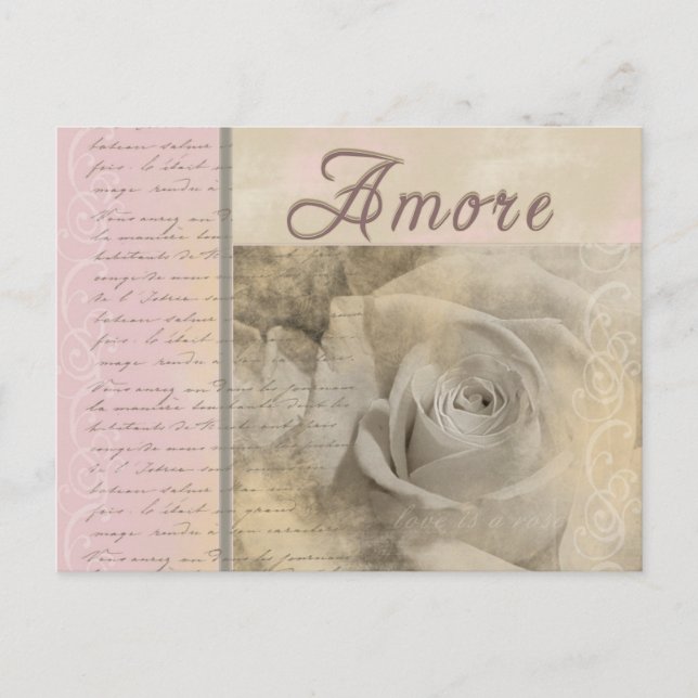 Romantic Amore Postcard (Front)