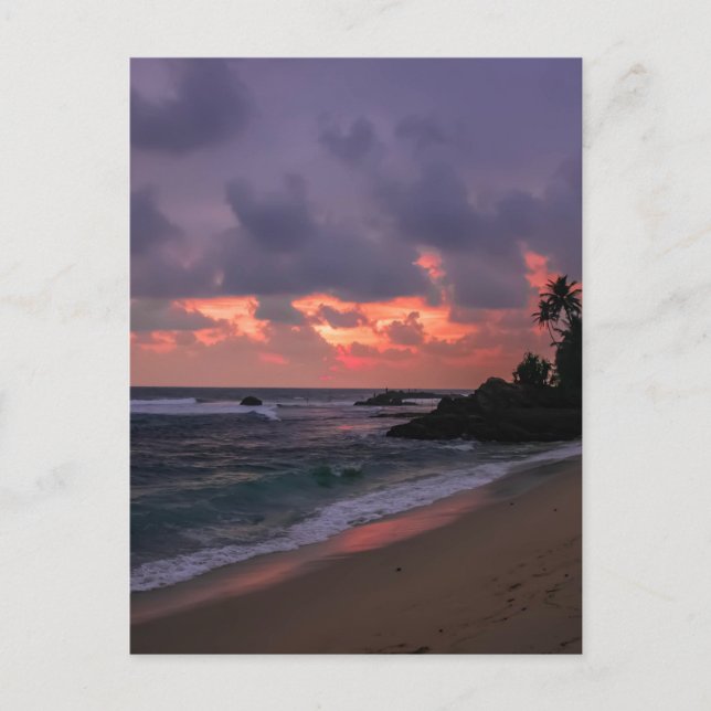 Romantic Beach at Dusk Postcard (Front)