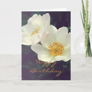 Romantic Botanical Happy Birthday Cards