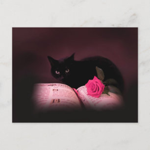 romantic cat book rose postcard