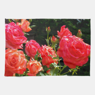 Romantic Coral Roses Kitchen Towel