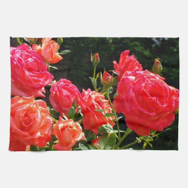 Romantic Coral Roses Kitchen Towel (Horizontal)