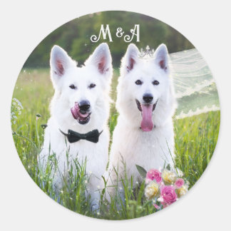 Romantic couple of dogs geting married classic round sticker