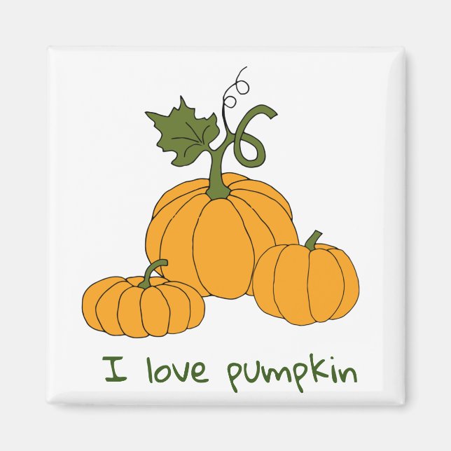 Romantic Cute orange pumpkin harvest     Magnet (Front)