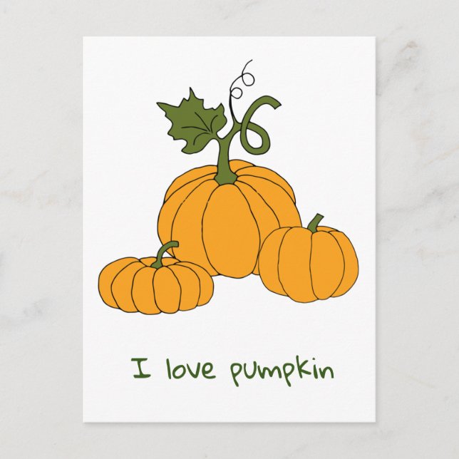 Romantic Cute orange pumpkin harvest     Postcard (Front)