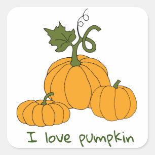 Romantic Cute orange pumpkin harvest     Square Sticker