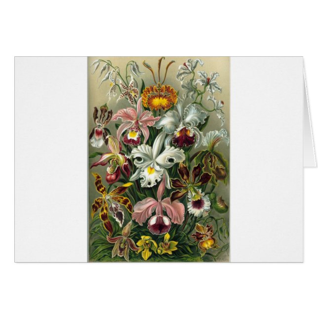 romantic date blossoms rsvp colourful chic (Front Horizontal)