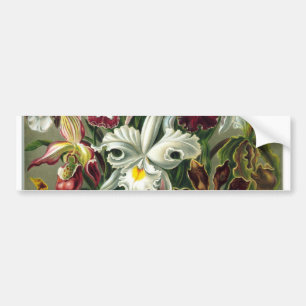 romantic date blossoms rsvp colourful chic bumper sticker