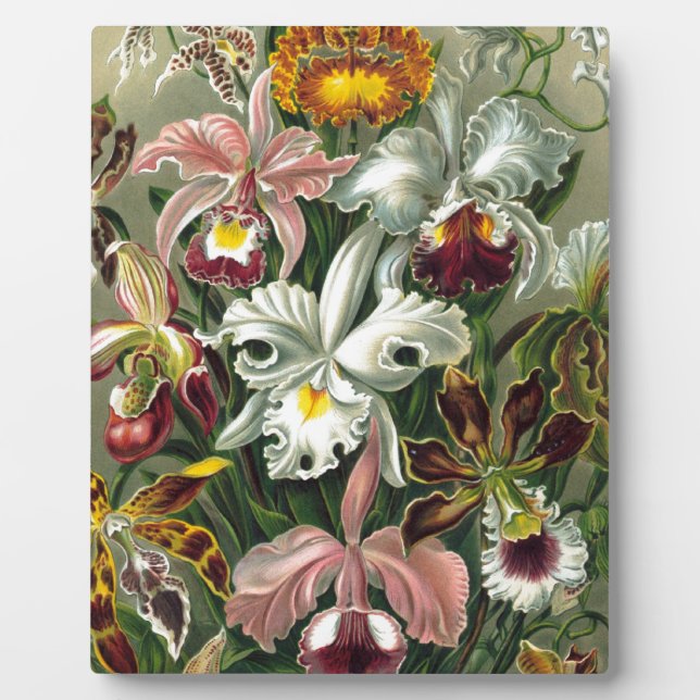 romantic date blossoms rsvp colourful chic plaque (Front)