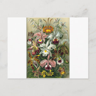 romantic date blossoms rsvp colourful chic postcard