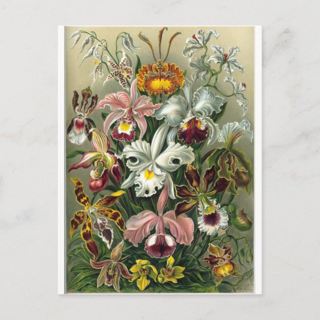 romantic date blossoms rsvp colourful chic postcard (Front)