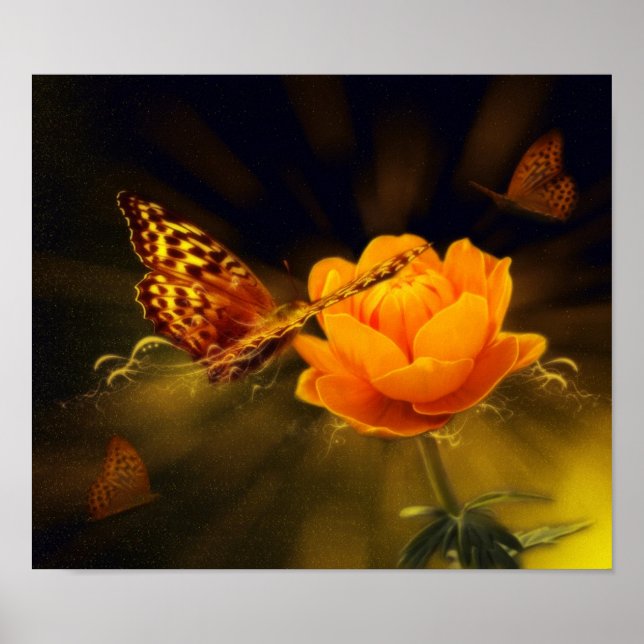 Romantic Elegant Butterfly Blossoms Poster (Front)