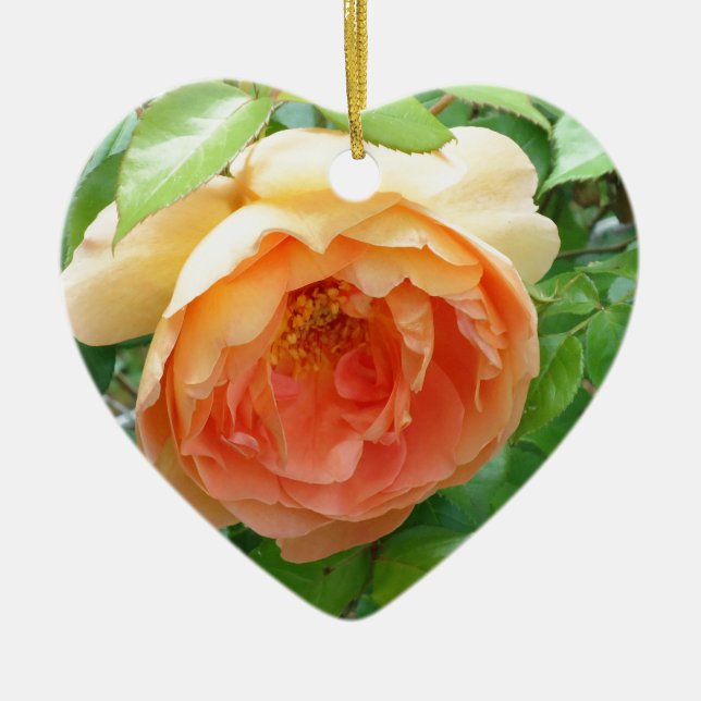 Romantic elegant  Orange Rose photo Ceramic Ornament (Front)