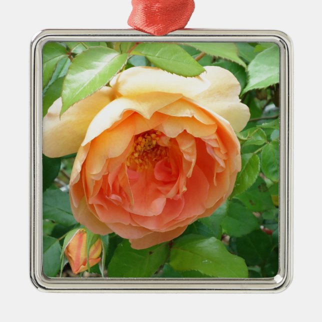 Romantic elegant  Orange Rose photo Metal Ornament (Front)