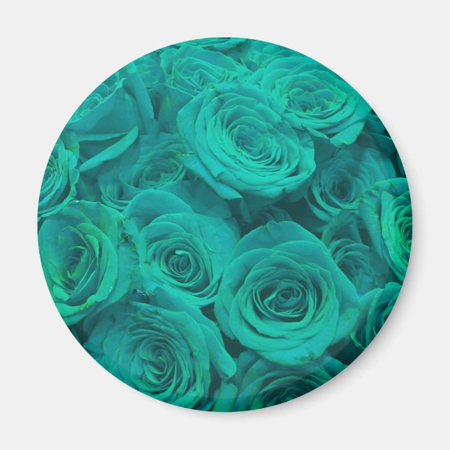 Romantic elegant teal - green  roses magnet (Front)