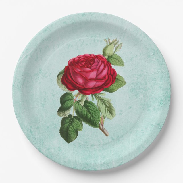 Romantic Elegant Vintage Red Rose Illustration Paper Plate (Front)