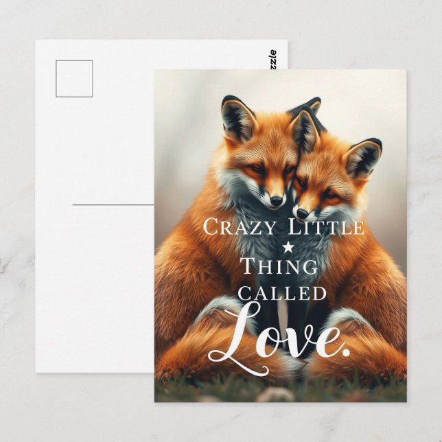 Romantic Fox Love Illustration Postcard (Front/Back)