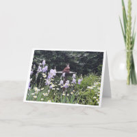 Romantic Frog Prince and Flowers Blank