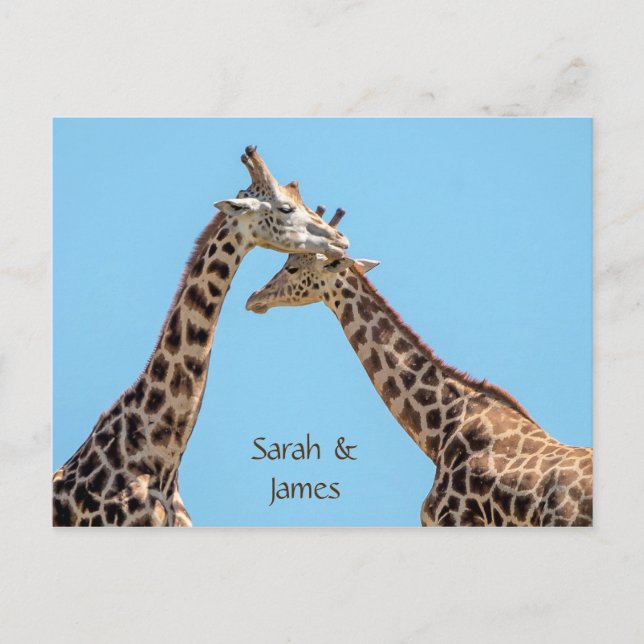 Romantic Giraffe Hugs Personalized Postcard (Front)