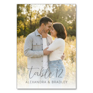 Romantic Golden Outdoor Photo Table Number