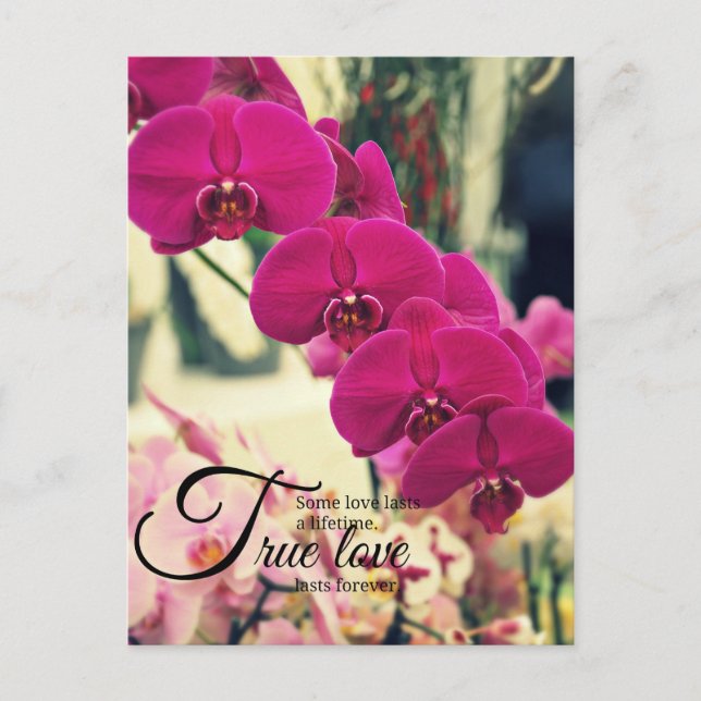 Romantic inspiration quote postcard (Front)