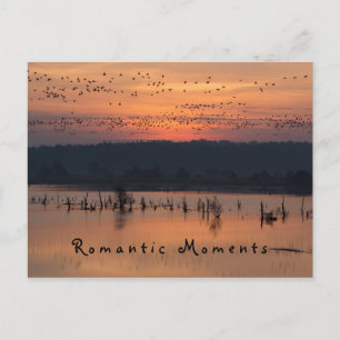 Romantic moments Birds at sunrise photo with text Postcard