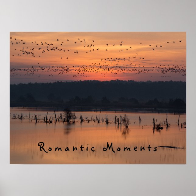 Romantic moments Birds at sunrise photo with text Poster (Front)