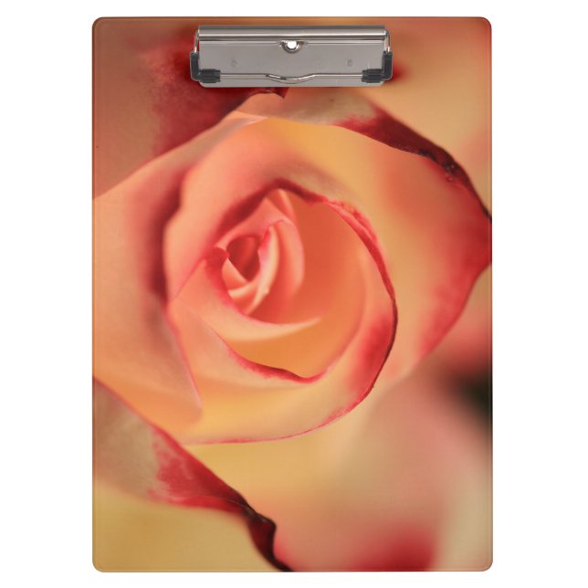 Romantic Orange Rose Clipboard (Front)